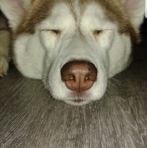 Meet your Posher, Kelly - Picture 1 of 1